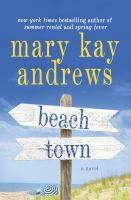 Beach town a novel